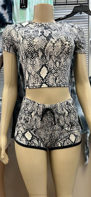 Women's Animal Print 2 Piece Outfits, Sleeved Crop Top and Shorts Two Piece Set